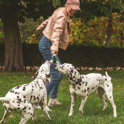 Cuerda Trébol Nomad Tales Spirit Juguete Para Perros 15 Cuerda Trébol Nomad Tales Spirit Juguete Para Perros -Trixie Ventas 333014 nomad tales spirit spieltau kleeblatt 01 7