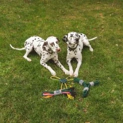 Cuerda Trébol Nomad Tales Spirit Juguete Para Perros 23 Cuerda Trébol Nomad Tales Spirit Juguete Para Perros -Trixie Ventas 333014 nomad tales spirit spieltau kleeblatt 03 4