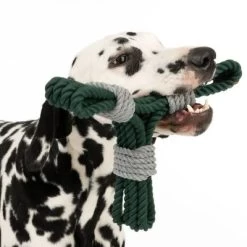 Cuerda Trébol Nomad Tales Spirit Juguete Para Perros 19 Cuerda Trébol Nomad Tales Spirit Juguete Para Perros -Trixie Ventas 333014 spirit clover rope toy fg 0554 6