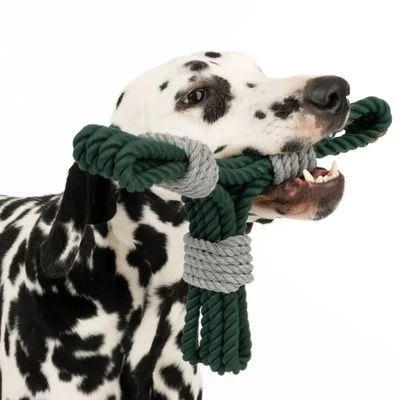 Cuerda Trébol Nomad Tales Spirit Juguete Para Perros 8 Cuerda Trébol Nomad Tales Spirit Juguete Para Perros - Imagen 8