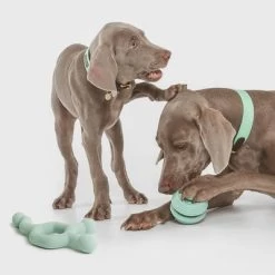 Pelota Portasnacks Nomad Tales Bloom Snack Roller Juguete Para Perros 17 Pelota Portasnacks Nomad Tales Bloom Snack Roller Juguete Para Perros -Trixie Ventas 333015 nomad tales snack ball 01 4