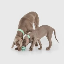 Pelota Portasnacks Nomad Tales Bloom Snack Roller Juguete Para Perros 11 Pelota Portasnacks Nomad Tales Bloom Snack Roller Juguete Para Perros -Trixie Ventas 333015 nomad tales snack ball 02 1