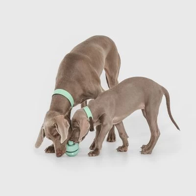 Pelota Portasnacks Nomad Tales Bloom Snack Roller Juguete Para Perros 3 Pelota Portasnacks Nomad Tales Bloom Snack Roller Juguete Para Perros - Imagen 3