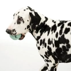 Pelota Portasnacks Nomad Tales Bloom Snack Roller Juguete Para Perros 13 Pelota Portasnacks Nomad Tales Bloom Snack Roller Juguete Para Perros -Trixie Ventas 333015 rolling snack roll fg 0570 7