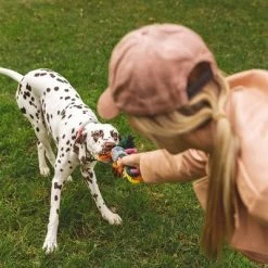 Cuerdas Varias Nomad Tales Spirit Multirope Juguete Para Perros 18 Cuerdas Varias Nomad Tales Spirit Multirope Juguete Para Perros -Trixie Ventas 333098 nomad tales spirit multirope hs 05 3