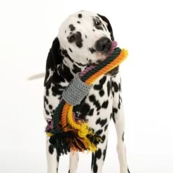 Cuerdas Varias Nomad Tales Spirit Multirope Juguete Para Perros 20 Cuerdas Varias Nomad Tales Spirit Multirope Juguete Para Perros -Trixie Ventas 333098 spirit multirope fg 0527 1