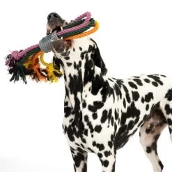 Cuerdas Varias Nomad Tales Spirit Multirope Juguete Para Perros 22 Cuerdas Varias Nomad Tales Spirit Multirope Juguete Para Perros -Trixie Ventas 333098 spirit multirope fg 0530 3