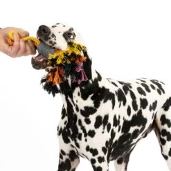 Cuerdas Varias Nomad Tales Spirit Multirope Juguete Para Perros 16 Cuerdas Varias Nomad Tales Spirit Multirope Juguete Para Perros -Trixie Ventas 333098 spirit multirope fg 0536 2