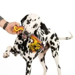 Cuerdas Varias Nomad Tales Spirit Multirope Juguete Para Perros 24 Cuerdas Varias Nomad Tales Spirit Multirope Juguete Para Perros -Trixie Ventas 333098 spirit multirope fg 0537 5