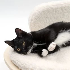 Sofá Osaka Modern Living Para Mascotas 21 Sofá Osaka Modern Living Para Mascotas -Trixie Ventas 342803 modern living osaka katze 0644 6