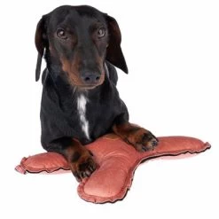 Blush Flying X Nomad Tales Juguete Para Perros 15 Blush Flying X Nomad Tales Juguete Para Perros -Trixie Ventas 344597 blush fying x fg 7914 4