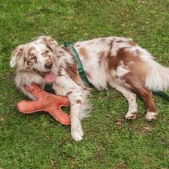 Blush Flying X Nomad Tales Juguete Para Perros 12 Blush Flying X Nomad Tales Juguete Para Perros -Trixie Ventas 344597 nomad tales blush flyingx hs 02 2