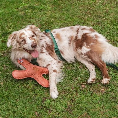 Blush Flying X Nomad Tales Juguete Para Perros 3 Blush Flying X Nomad Tales Juguete Para Perros - Imagen 3