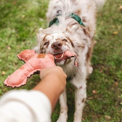 Blush Flying X Nomad Tales Juguete Para Perros 8 Blush Flying X Nomad Tales Juguete Para Perros - Imagen 8