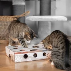 Canadian Cat Company MagicBox Juego De Inteligencia Para Gatos 19 Canadian Cat Company MagicBox Juego De Inteligencia Para Gatos -Trixie Ventas 346599 canadiancat company intelligenzspielzeug magicbox hs 13 9