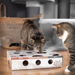 Canadian Cat Company MagicBox Juego De Inteligencia Para Gatos 23 Canadian Cat Company MagicBox Juego De Inteligencia Para Gatos -Trixie Ventas 346599 canadiancat company intelligenzspielzeug magicbox hs 16 0