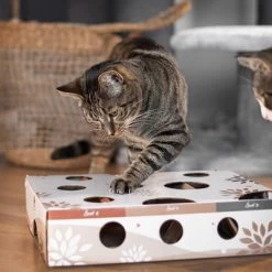 Canadian Cat Company MagicBox Juego De Inteligencia Para Gatos 28 Canadian Cat Company MagicBox Juego De Inteligencia Para Gatos -Trixie Ventas 346599 canadiancat company intelligenzspielzeug magicbox hs 18 2