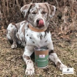 PAWS & PATCH Harina De Algas 5 PAWS & PATCH Harina De Algas -Trixie Ventas 346896 paws patch seealgenmehl 250g hs 02 0