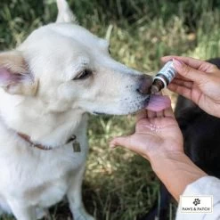 PAWS & PATCH Complemento Para La Ansiedad 5 PAWS & PATCH Complemento Para La Ansiedad -Trixie Ventas 347097 paws patch angst unsicherheit hs 02 8