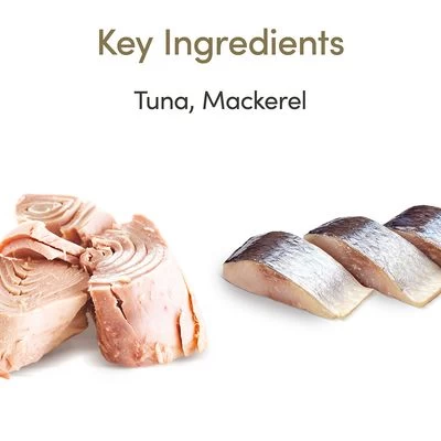 Applaws En Gelatina 16 X 70 G 2 Applaws En Gelatina 16 X 70 G - Imagen 2