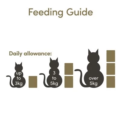 Applaws En Gelatina 16 X 70 G 15 Applaws En Gelatina 16 X 70 G - Imagen 15