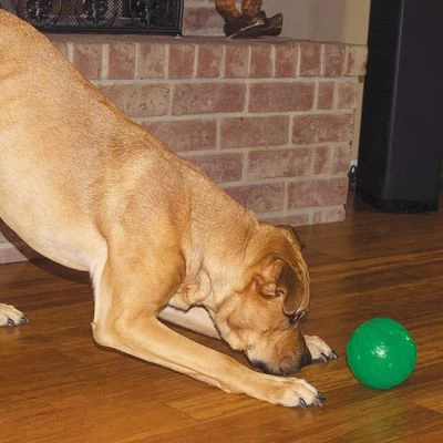 Starmark Pelota Portasnacks Para Perros 2 Starmark Pelota Portasnacks Para Perros - Imagen 2