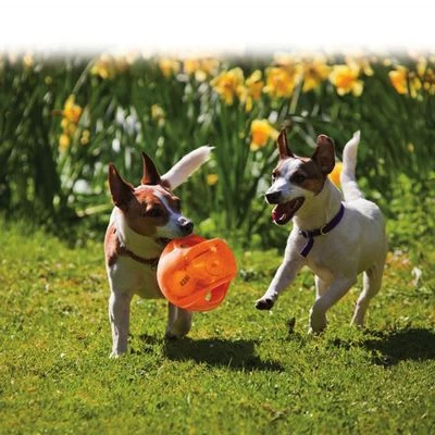 KONG Jumbler Pelota Para Perros 6 KONG Jumbler Pelota Para Perros - Imagen 6