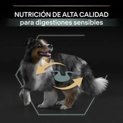 PURINA PRO PLAN Medium Adult Sensitive Digestion Cordero Y Arroz 12 PURINA PRO PLAN Medium Adult Sensitive Digestion Cordero Y Arroz -Trixie Ventas 44142622 es es 221230 1 3 1