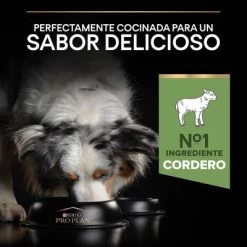 PURINA PRO PLAN Medium Adult Sensitive Digestion Cordero Y Arroz 15 PURINA PRO PLAN Medium Adult Sensitive Digestion Cordero Y Arroz -Trixie Ventas 44142622 es es 221230 1 9