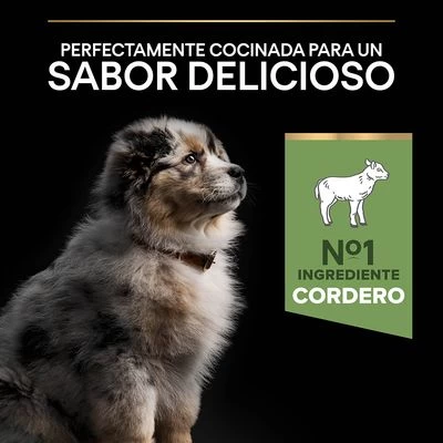 Purina Pro Plan Medium Puppy Sensitive Digestion Cordero Y Arroz 7 Purina Pro Plan Medium Puppy Sensitive Digestion Cordero Y Arroz - Imagen 7