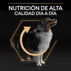 PURINA PRO PLAN Medium Adult Everyday Nutrition -Trixie Ventas 44142699 es es 221230 1 3 9