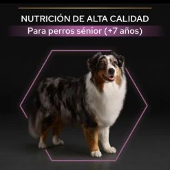 PURINA PRO PLAN Medium & Large Adult 7+ Age Defence -Trixie Ventas 44152668 es es 221230 1 3 5
