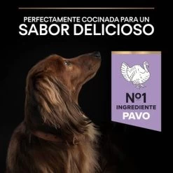 PURINA PRO PLAN Small & Mini Adult Sensitive Digestion Sin Cereales 14 PURINA PRO PLAN Small & Mini Adult Sensitive Digestion Sin Cereales -Trixie Ventas 44157647 es es 221230 1 5