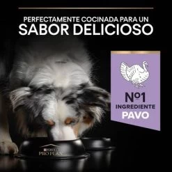 PURINA PRO PLAN Medium & Large Adult Sensitive Digestion Sin Cereales -Trixie Ventas 44161695 es es 221230 1 6
