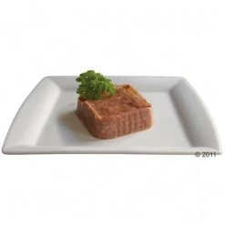 Beaphar Dieta Insuficiencia Renal 6 X 100 G -Trixie Ventas 45407 beaphar nierendiaet futter 1