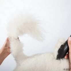 Máquina Cortapelo Moser Max50 29 Máquina Cortapelo Moser Max50 -Trixie Ventas 465281 schermaschine moser max 50 02 0