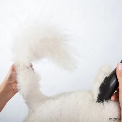 Máquina Cortapelo Moser Max50 12 Máquina Cortapelo Moser Max50 - Imagen 12