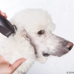 Máquina Cortapelo Moser Max50 28 Máquina Cortapelo Moser Max50 -Trixie Ventas 465281 schermaschine moser max 50 05 4