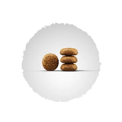 Josera Mini Miniwell Pienso Para Perros 2 Josera Mini Miniwell Pienso Para Perros - Imagen 2