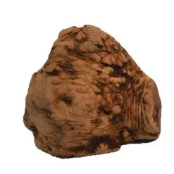 Chewies Raíz Para Masticar Tamaño L 6 Chewies Raíz Para Masticar Tamaño L -Trixie Ventas 498909 pets nature kauwurzel chewies variante 2