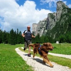 Arnés De Canicross NEEWA Running Rojo Para Perros 8 Arnés De Canicross NEEWA Running Rojo Para Perros -Trixie Ventas 505648 hs neewa running harness rot im einsatz 4