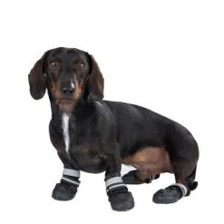 Nuevos lanzamientos 12 Zapatos Para Perros S & P Boots
