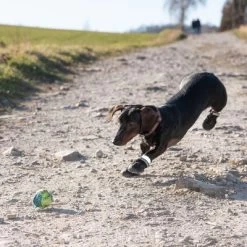Zapatos Para Perros S & P Boots -Trixie Ventas 52149 hundeschuhe xs fg 0967 9
