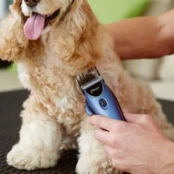 Set Máquina Cortapelo Para Mascotas Oster 220 V 22 Set Máquina Cortapelo Para Mascotas Oster 220 V -Trixie Ventas 53731 osterheimtierschermaschinen hs 10 1