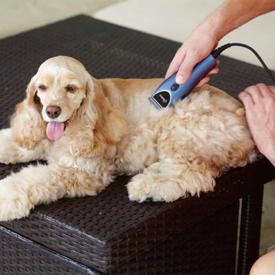 Set Máquina Cortapelo Para Mascotas Oster 220 V 12 Set Máquina Cortapelo Para Mascotas Oster 220 V - Imagen 12