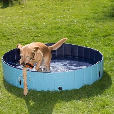 Piscina Para Perros Keep Cool 20 Piscina Para Perros Keep Cool - Imagen 20