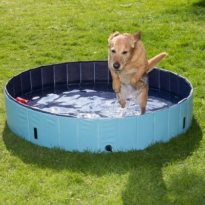 Piscina Para Perros Keep Cool 1 Piscina Para Perros Keep Cool