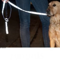 Correa Ajustable Y Reflectante Trixie Color Gris 9 Correa Ajustable Y Reflectante Trixie Color Gris -Trixie Ventas 61857 trixie vleinepfoten4 1