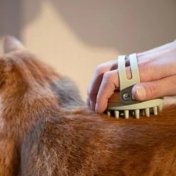 Kooa Cepillo Masajeador Para Gatos 17 Kooa Cepillo Masajeador Para Gatos -Trixie Ventas 62207 20 kooa haustierbuerste hpc2208 1000x 6