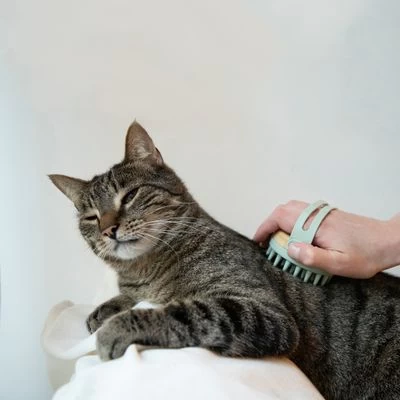 Kooa Cepillo Masajeador Para Gatos 7 Kooa Cepillo Masajeador Para Gatos - Imagen 7